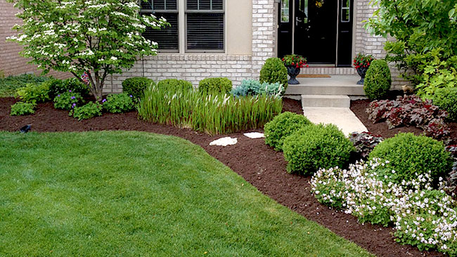 mulch bed with landscaping